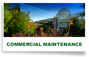 Commercial landscaping example