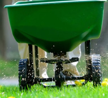 Lawn Fertilizer Service