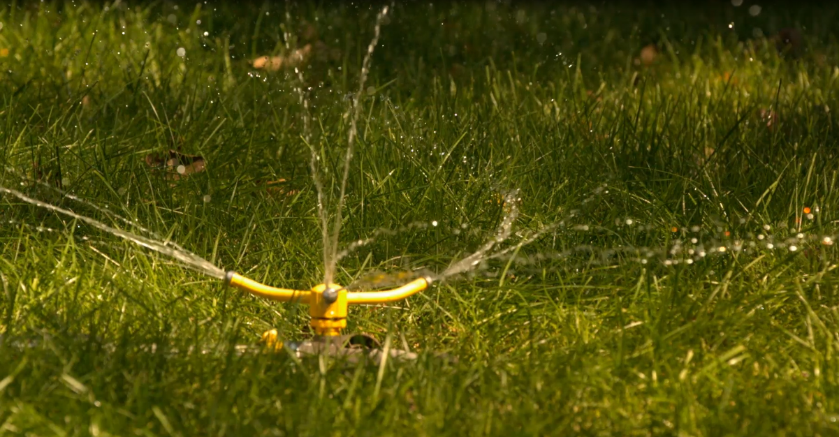Calgary Lawn Watering Tips