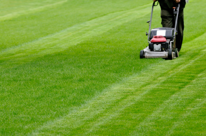 Lawn Care Maintenance Example with a Lawn Mower
