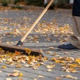 Fall clean-up! Do it Before the Snow Comes! - Five Star Landscaping - Fall Clean Up Calgary