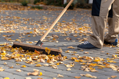 Fall clean-up! Do it Before the Snow Comes! - Five Star Landscaping - Fall Clean Up Calgary