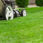 Common Calgary Lawn Problems - Five Star Landscaping - Calgary Lawn Experts