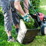 Have a Professional Team Keep your Lawn Healthy while You're on Vacation - Five Star Landscaping - Lawn Maintenance Calgary