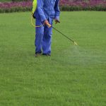 Avoiding Herbicides Responsibly - Fivestar Landscaping - Landscaping Experts Calgary