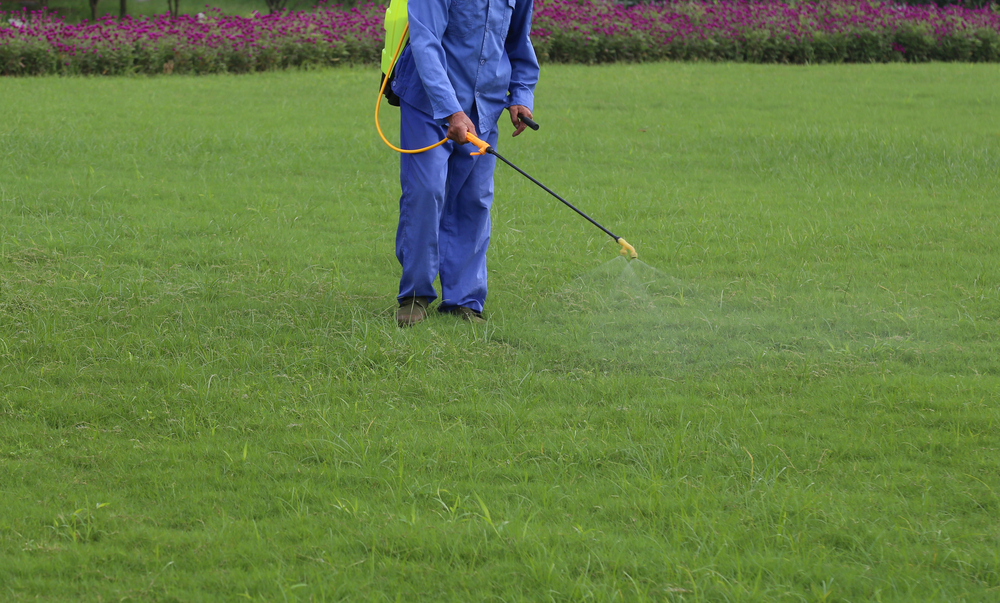 Avoiding Herbicides Responsibly - Fivestar Landscaping - Landscaping Experts Calgary