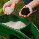 Proper Fertilization Methods for Both your Lawn and Trees Before Winter - Five-Star Landscaping - Lawn Experts Calgary
