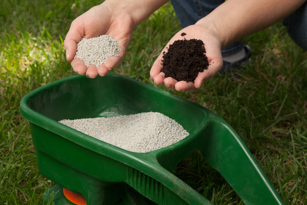 Proper Fertilization Methods for Both your Lawn and Trees Before Winter - Five-Star Landscaping - Lawn Experts Calgary