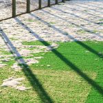 Winter Lawn Care - Five Star Landscaping - Snow Removers Expert