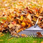 Three Things You Should Do Every Fall to Keep Your Lawn Beautiful - Five Star Landscaping - Landscaping Calgary