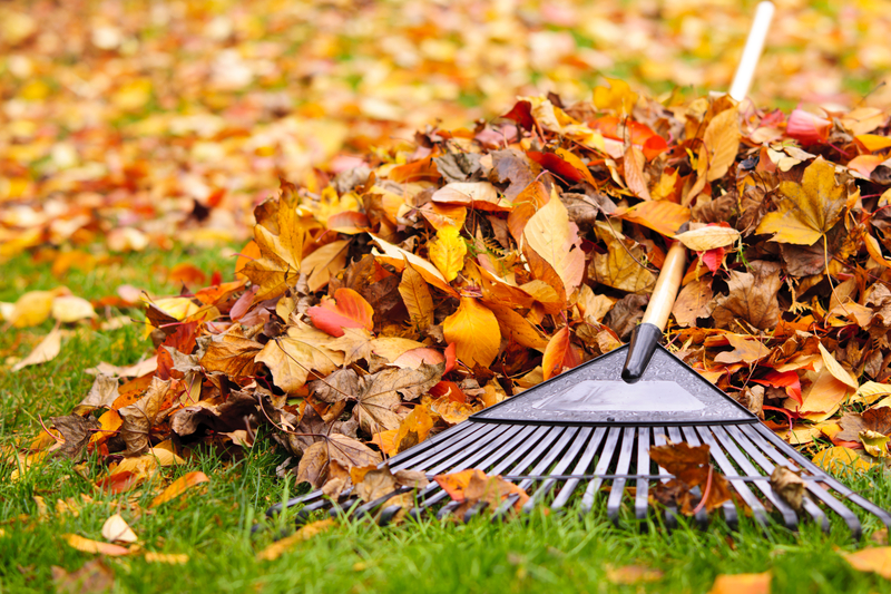 Three Things You Should Do Every Fall to Keep Your Lawn Beautiful - Five Star Landscaping - Landscaping Calgary