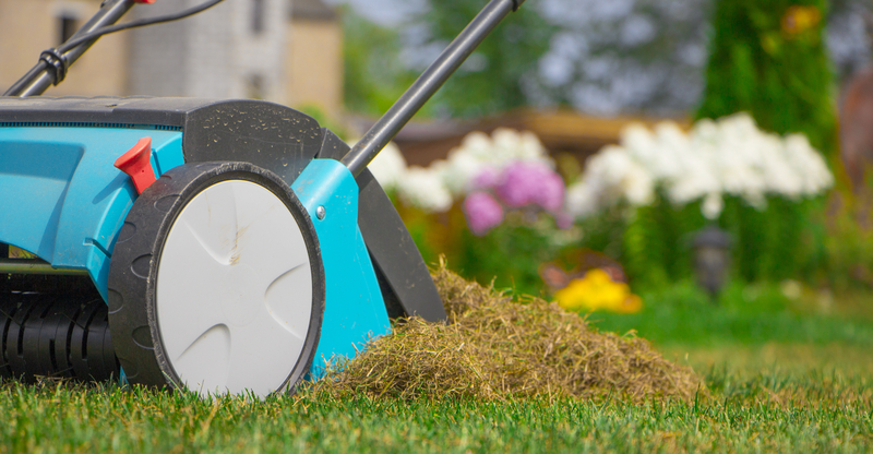 What You Need to Know About Aerating in Spring - Five Star Landscaping - Landscaping Experts Calgary