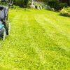 Helping Your Yard to Thrive During the Dead of Summer - Five Star Landscaping - Landscaping Experts Calgary
