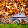 Are You Ready for Your Fall Clean Up? - Five Star Landscaping - Expert Landscapers Calgary