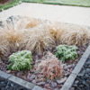 Fun Landscaping Ideas for the Holidays - Five Star Landscaping - Landscaping Experts Calgary