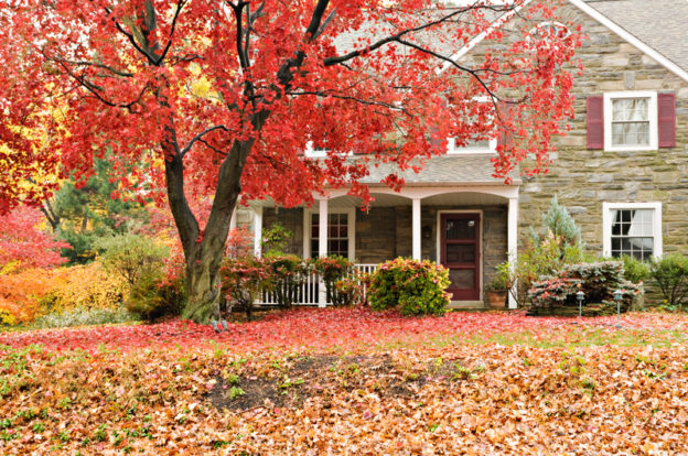Is Your Yard Ready for Winter? - Five Star Landscaping - Landscaping Experts Calgary - Featured Image