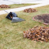 Keeping Your Yard Beautiful into Autumn - Five Star Landscaping - Landscaping Experts Calgary - Featured Image