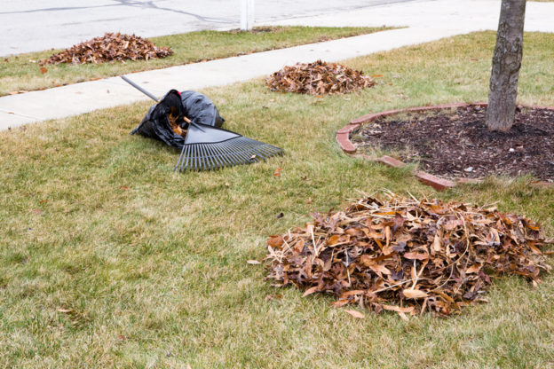 Keeping Your Yard Beautiful into Autumn - Five Star Landscaping - Landscaping Experts Calgary - Featured Image