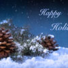 Happy Holiday from Five Star Landscaping! - Five Star Landscaping - Landscaping Experts Calgary - Featured Image