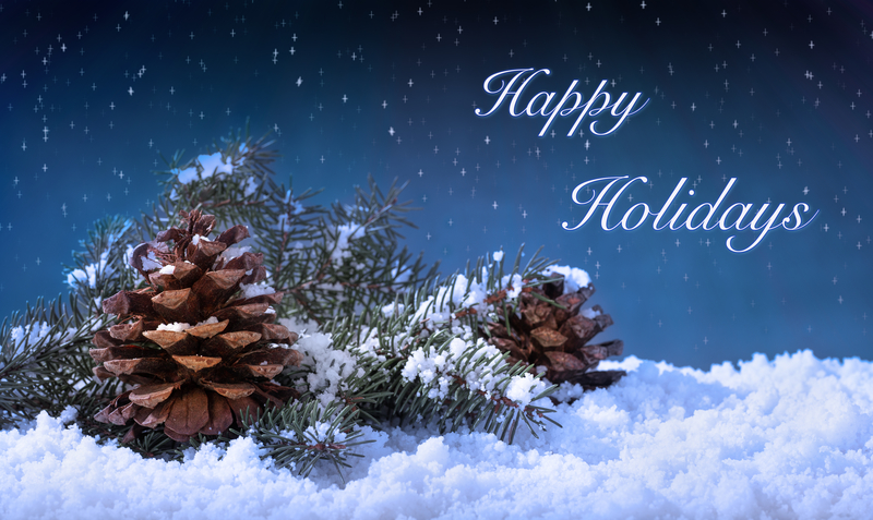 Happy Holiday from Five Star Landscaping! - Five Star Landscaping - Landscaping Experts Calgary - Featured Image