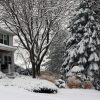 Cold Hard Winter Expected in Alberta — Here’s How to Protect Your Yard!
