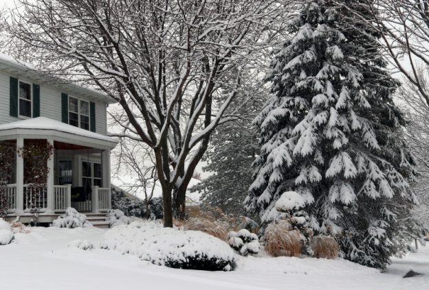 Cold Hard Winter Expected in Alberta — Here’s How to Protect Your Yard!